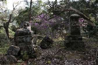 Buddhist Statues on Mount Daishi