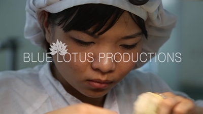 Tianjin 'Sea Gull Watch Group' Factory