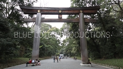 Meiji Shrine (Meiji Jinggu) Torii in Tokyo