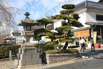 Stone Lantern in Zenko-ji in Nagano