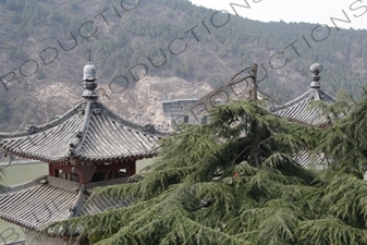 Fengxian Temple/Grotto (Fengxian Si) at the Longmen Grottoes (Longmen Shiku) near Luoyang