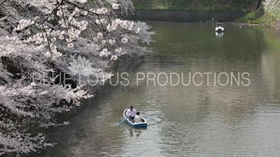 Tokyo Imperial Palace (Kokyu) Chidorigafuchi Moat Row Boats