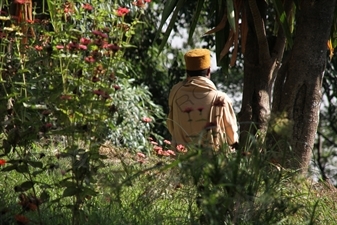 Priest in Gardens next to Lake Tana