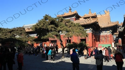 Hall of the Wheel of the Law (Falun Dian) in the Lama Temple in Beijing