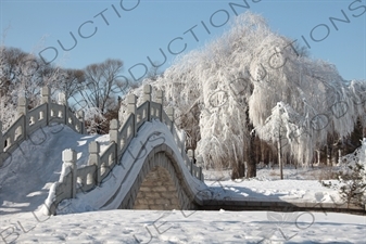 Chinese Style Arched Bridge in the Sun Island Scenic Area (Taiyang Dao) in Harbin