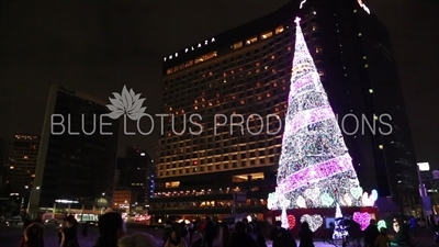 Christmas Tree on Seoul Plaza