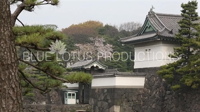 Tokyo Imperial Palace (Kokyu) Kikyo Gate (Kikyo Mon)