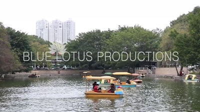 Shenzhen Park