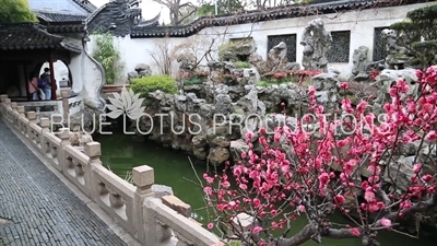 Yu Garden (Yuyuan) in Shanghai