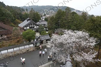 Grounds of Nanzen-ji in Kyoto