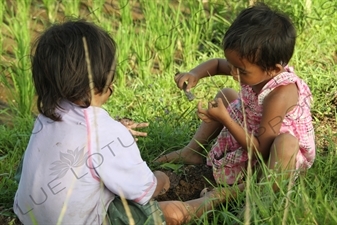 Children Playing in a Paddy Field in Bali