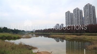 Shenzhen Honghu Lake