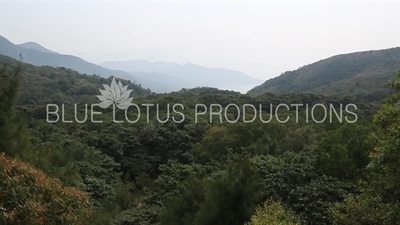 Forest and Hills Surrounding the Tian Tan/Big Buddha on Lantau Island