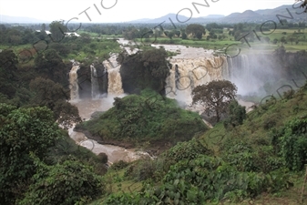 Blue Nile Falls