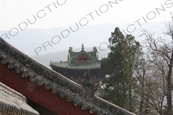 Roof Carving with Drum Tower in the Background at the Shaolin Temple in Dengfeng