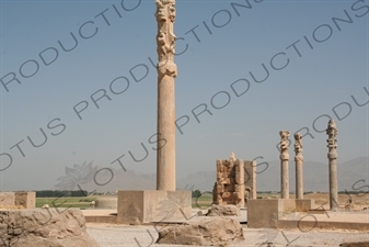 Apadana Palace and the Gate of Nations at Persepolis