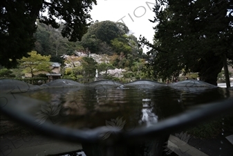 Fountain in Kencho-ji in Kamakura