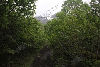 Yoshida Trail to Mount Fuji