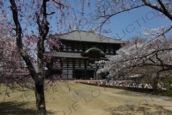 Big Buddha Hall (Daibutsuden) of Todaiji in Nara