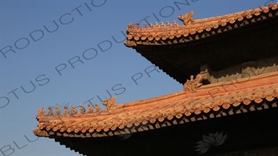 Imperial Roof Decoration in the Forbidden City in Beijing