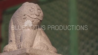 Stone Cat Carving at Gyeongbok Palace (Gyeongbokgung) in Seoul