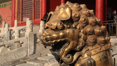 Guardian Lion Statue in front of the Gate of Heavenly Purity (Qianqing Men) in the Forbidden City in Beijing