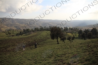 Simien Mountains National Park